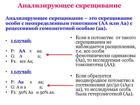 Анализирующее скрещивание. Взаимодействие аллельных генов ...