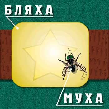 Бляха-муха - Tynu40k Goblina