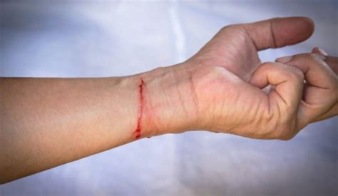 real hand cut images
