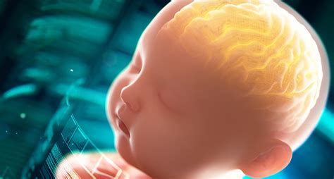 pharmacological action  arachidonic acid lyphar offers  samples