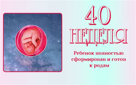 40 неделя беременности - как отличить тренировочные схватки