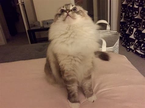 @life-writer on Tumblr