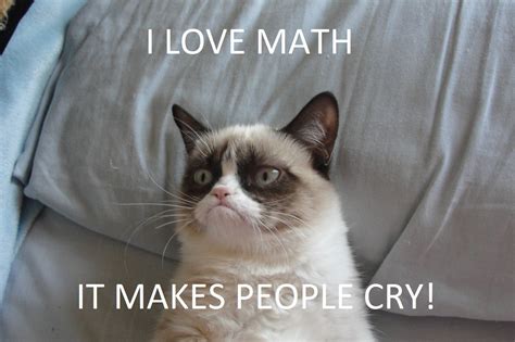 true book addictbooks cats   cat thursday grumpy cat love