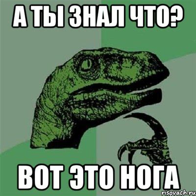 а ты знал что? вот это нога, Мем Филосораптор - Рисовач .Ру