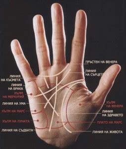 Как се гледа на ръка?