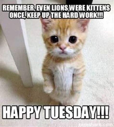 95 Funny Tuesday Memes | Images Of Happy Tuesday Quotes – BoomSumo