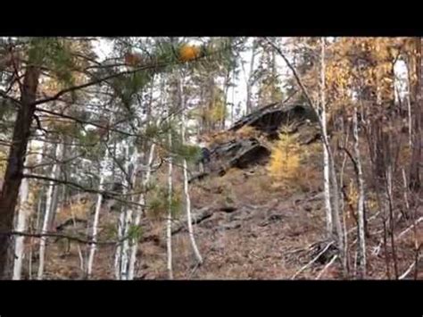 Забытые золотые прииски РЕПОРТАЖ - YouTube