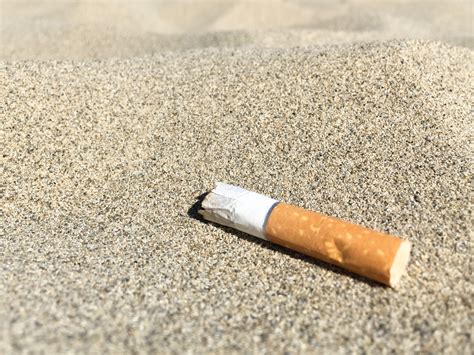 Cigarette Butt In Sand Free Stock Photo - Public Domain Pictures