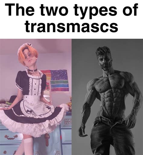 transmasc femboys 🤝 transmasc himbos : Only_Femboys