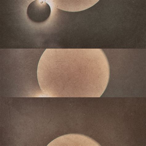 universal language  jaffa kid