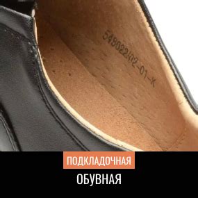 Кожа