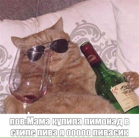 Мем: "пов:Мама купила лимонад в стиле пива я ооооо пивасик" - Все ...