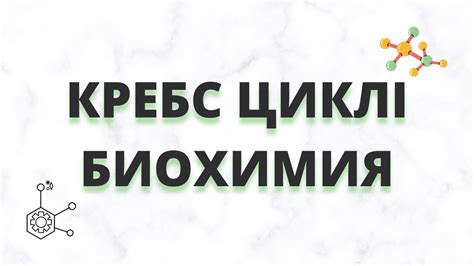КРЕБС ЦИКЛІ || ТҮСІНІКТІ ТІЛДЕ КӨМІРСУ АЛМАСУЫНЫҢ БИОХИМИЯСЫ - YouTube