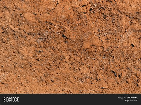 Soil Background Texture