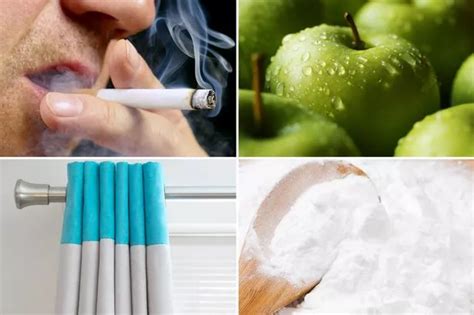 Woman uses her own vaginal fluid as 'perfume' to attract men - and she ...