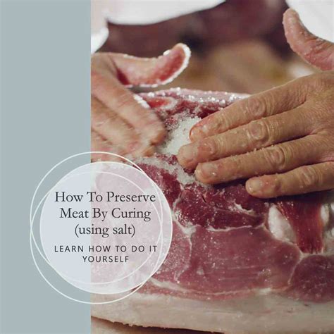 preserve meat  curing  salt