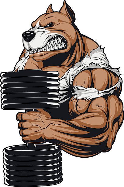 Royalty Free Tough Dog Clip Art, Vector Images & Illustrations - iStock