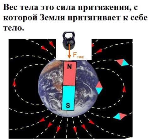 Ответы Mail: Во сколько раз масса Земли больше массы луны и во сколько ...