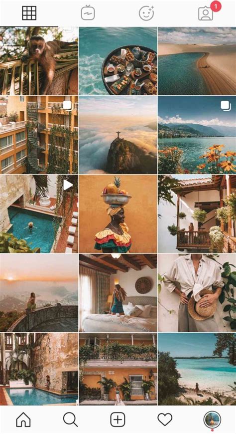 Feed Organizado