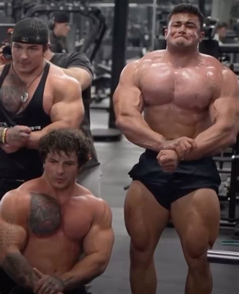 tren twins workout routine  beginners