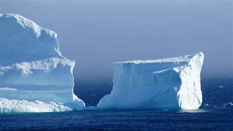 A prime view of 'Iceberg Alley' in Newfoundland, Canada - CGTN