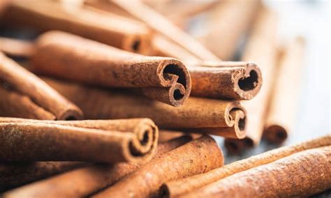 Cassia vs Ceylon Cinnamon: What’s the Difference? - A-Z Animals