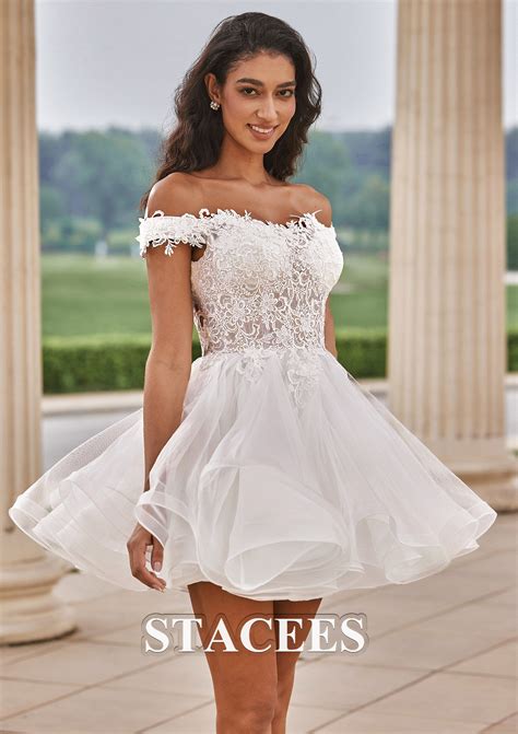 Lace Ball Gown Wedding Dresses 2024
