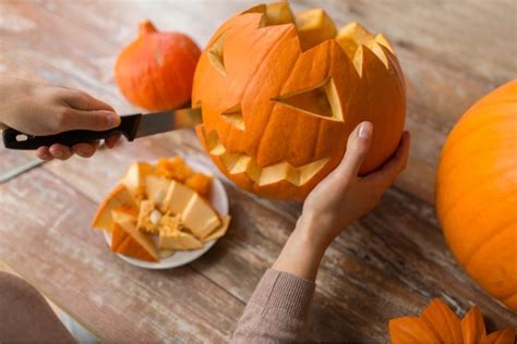 15+ Interesting Facts About Pumpkins to Celebrate Carve a Pumpkin Day