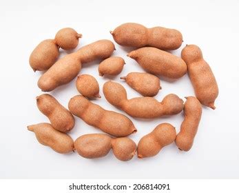 28 Tamar Hindi Images, Stock Photos & Vectors | Shutterstock