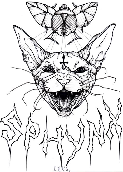 Hairless Cat Drawing at GetDrawings | Free download