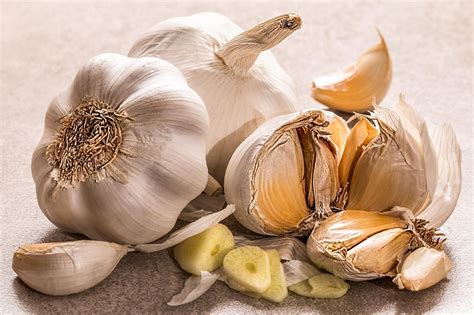 clove garlic images pixabay