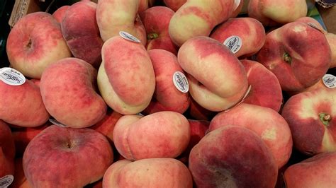 flat peach china  photo  pixabay