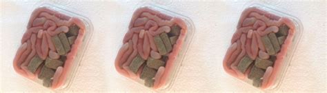 BIBIS – TITAS – Valbaits isco vivos unipessoal, Lda.