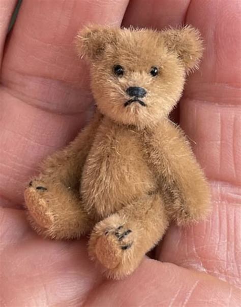cute small teddy bear