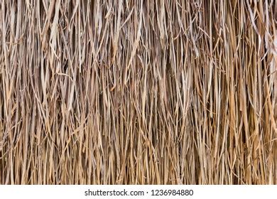 texture thatched  hut wall stock photo  shutterstock