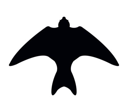 Martin Icon PNG Images, Vectors Free Download - Pngtree