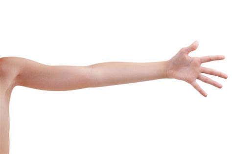 Stretched Human Hand Stock Photo - Download Image Now - iStock