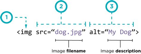 HTML Basics | Getting started - Revise Zone