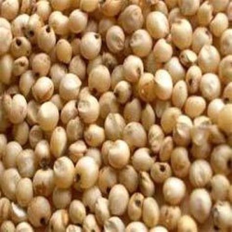 organic jowar   price  hyderabad  vittle foods id