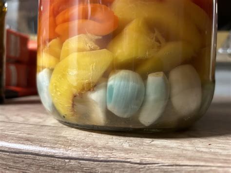 Why does my fresh garlic turn blue ? : r/fermentation