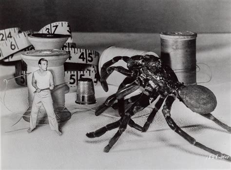 10 Things I Learned: The Incredible Shrinking Man | Current | The
