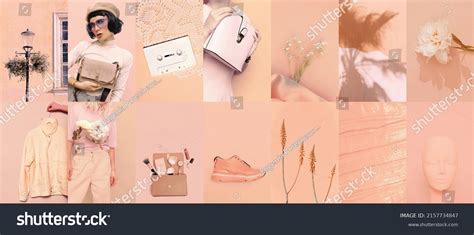 Set Trendy Aesthetic Photo Collages Minimalistic Stock Photo 2157734847 | Shutterstock