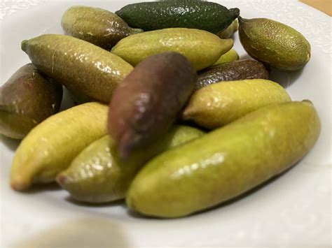 Title: Taste the Unique Delight of Fingerlimes – Local Harvest Delivery