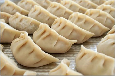 Cabbage and Pork Dumplings - Dish 'n' the Kitchen