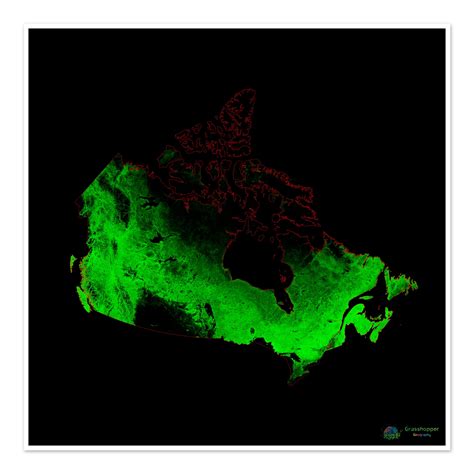 canada forest cover map fine art print grasshopper geography