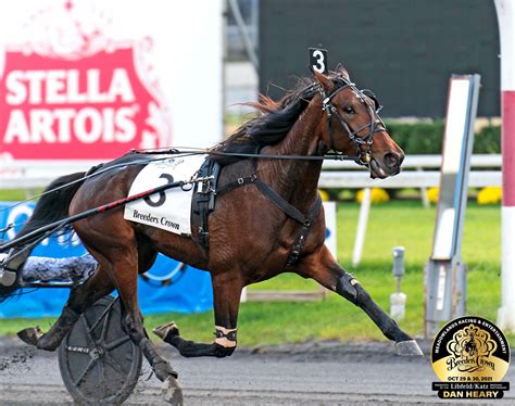 Bella Bellini - 3FT — Hambletonian Society Inc