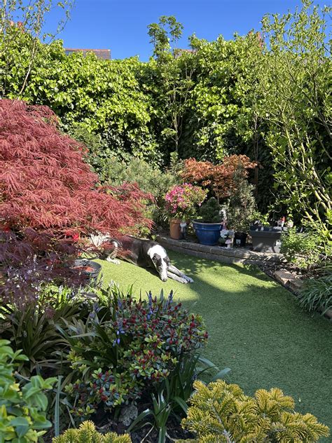 Bridgette lee's Whimsical... - Bridgette lee's Whimsical Art