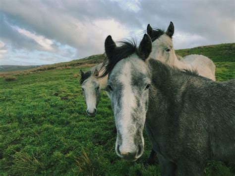 How to Hike The Cliffs of Moher - ArcticSabrina