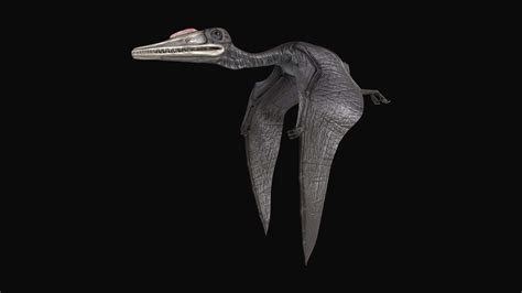 Pterodactylus Dinosaur - 3D Model by SQUIR