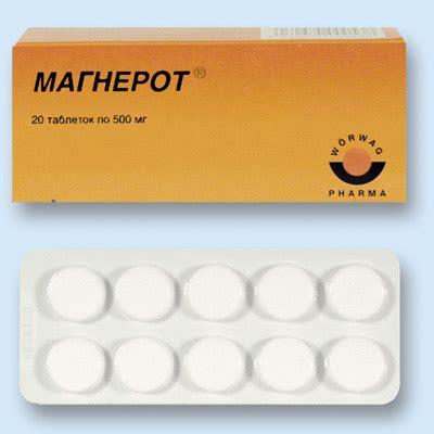 Магнерот и алкоголь — совместимость